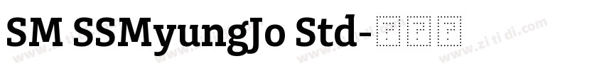 SM SSMyungJo Std字体转换